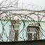 17-летнюю девочку-изверга приговорили к 1,5 годам воспитательной колонии