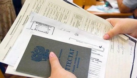 Детям-сиротам и инвалидам расширили льготы на поступление в вуз Детям-сиротам и инвалидам расширили льготы на поступление в вуз