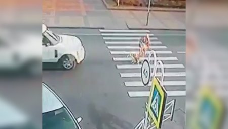 Маленький ребенок остался жив после наезда внедорожника. Видео
