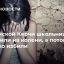 В крымской Керчи школьницу поставили на колени, а потом жестоко избили