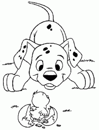 ae55df19