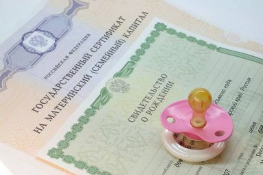 В Госдуме предложили использовать маткапитал для строительства дач