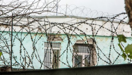 17-летнюю девочку-изверга приговорили к 1,5 годам воспитательной колонии 17-летнюю девочку-изверга приговорили к 1,5 годам воспитательной колонии