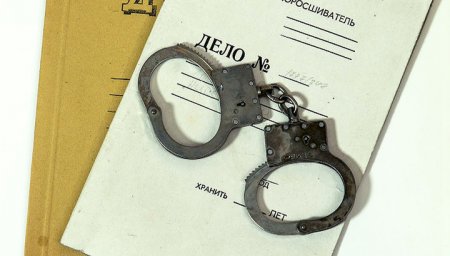 Против родителей, которые окунули пятиклассника головой в унитаз, возбудили уголовное дело.
