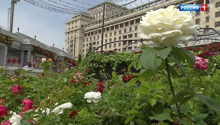 Фестиваль садов, джаз и праздник итальянской кухни: куда отправиться в выходные