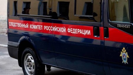 Следователи подтвердили нарушение правил воспитания детей в частном садике "Happy baby"