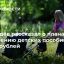 Медведев рассказал о планах по повышению детских пособий до 10 тысяч рублей