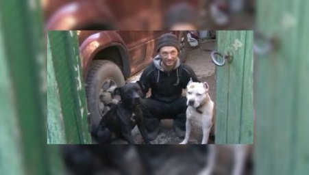Хозяин псов, покалечивших мальчика, отделался исправительными работами