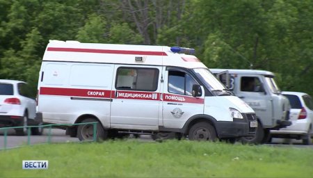 Под Калининградом собака, купленная две недели назад, загрызла дочь хозяев Под Калининградом собака, купленная две недели назад, загрызла дочь хозяев
