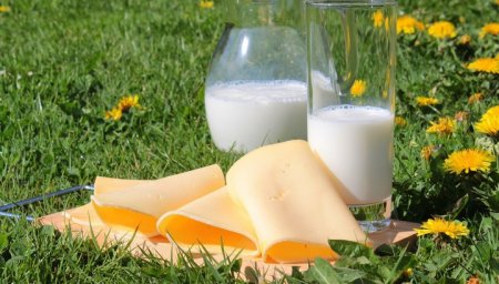 Молочные продукты снижают риск развития сердечно-сосудистых заболеваний