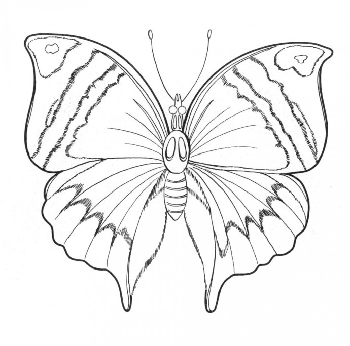 5b484e58